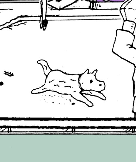 入る汚い犬 