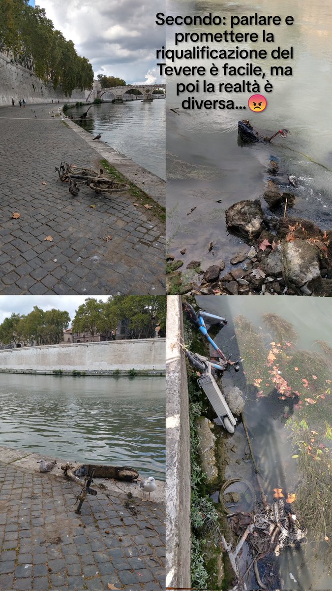 Tevere days! ?🤔😡 <a href="/6RENZ/">Miami Bice</a>  <a href="/chiccoeri/">Emme 🚲🌳</a> <a href="/QuinziUgo/">Ugo Quinzi</a> <a href="/battaglia_persa/">Battaglia persa</a>  <a href="/GiuseppeRoma977/">Romano D.O.C.</a> <a href="/Aspidus1/">Aspidus</a> <a href="/ammaiFiamma/">𝑪𝒉𝒆𝑺𝒕𝒊𝒛𝒛𝒂 🦉</a> <a href="/SchwarzGuido/">Guido Schwarz</a> <a href="/LesterSalis1/">Lester Salis</a> <a href="/salviamoroma/">@salviamoroma</a> <a href="/romatoday/">Roma Today</a> <a href="/romanoesaurito/">Alzatore di tergicristalli</a>  <a href="/RiprendRoma/">Riprendiamoci Roma</a> <a href="/diarioromano/">diarioromano</a> <a href="/mcacciaglia64/">mcaccia</a>   <a href="/RiganteLeonardo/">Leonardo Rigante 🇺🇦</a> <a href="/gloquenzi/">giancarlo loquenzi</a> <a href="/antonellatonon1/">anto28👑</a> <a href="/Antincivili/">Segnalatore Seriale</a>