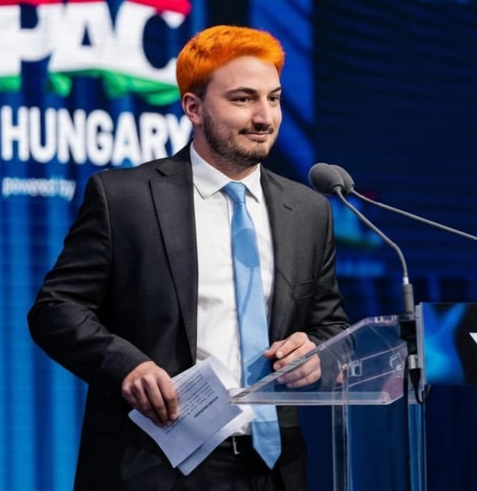 QUE LE ESTA PASANDO A MI PELO