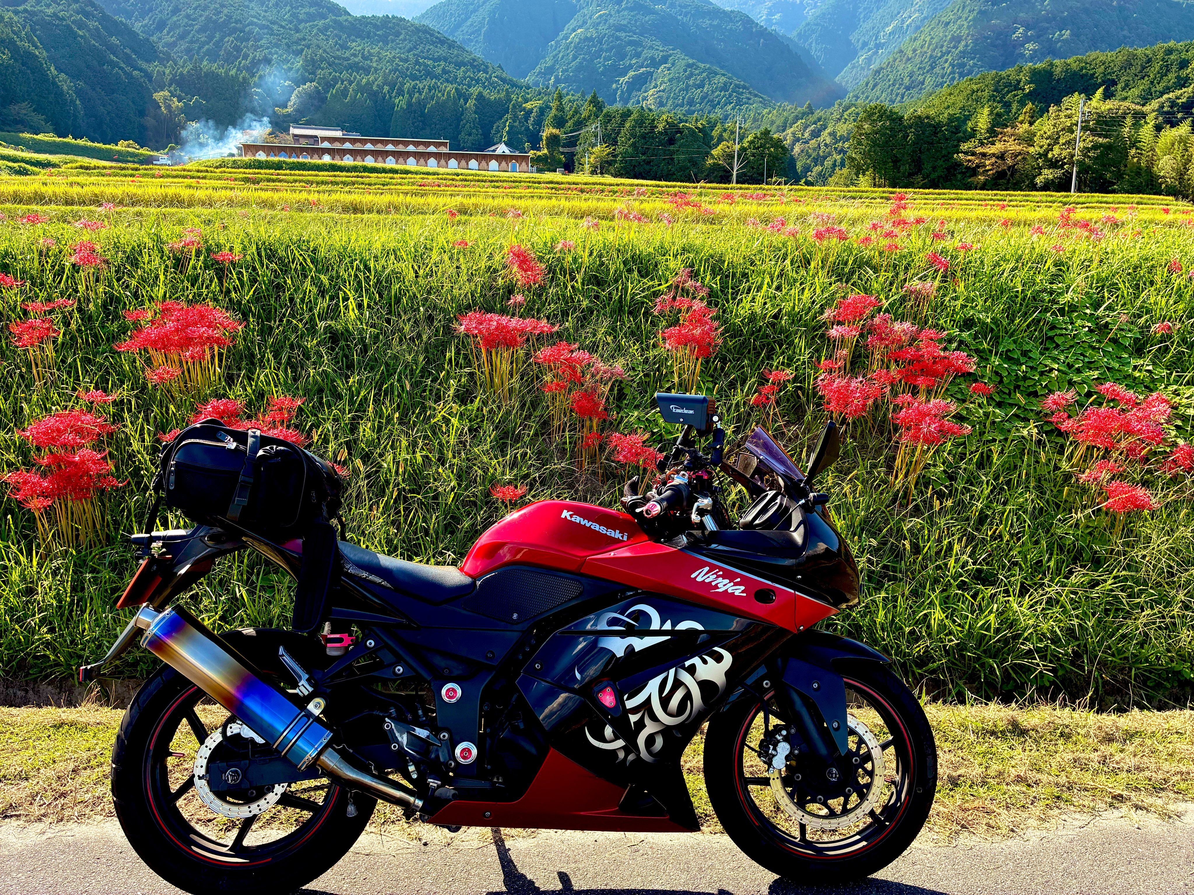 みみさん専用ページ mimi( ◔︎㉦◔︎ ) (@mimi_mimi250) / X