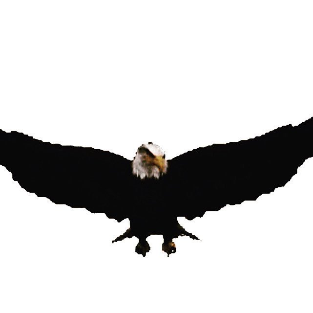 🔥From the Southwest to the Nest!🔥
Pumped to welcome our second Eagle from the Cactus State to the 2026 class! 💜⚾️🦅
#AsburyBaseball #TalonsUp