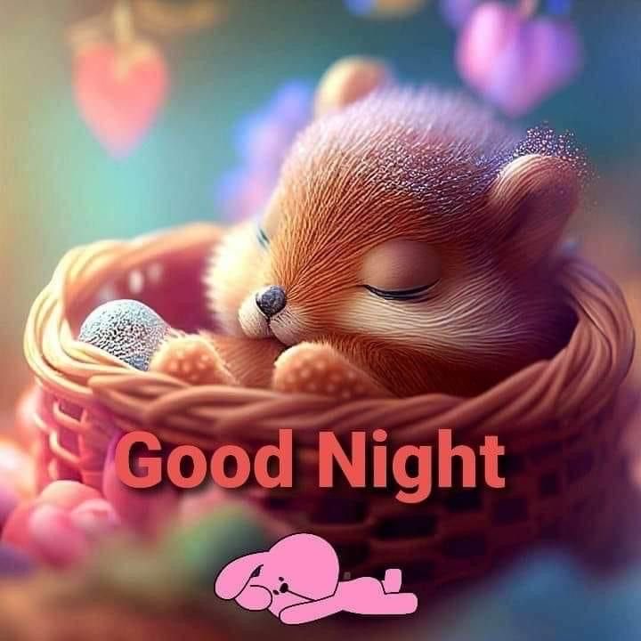 Good night! Sleep well! 💕😴😴💕