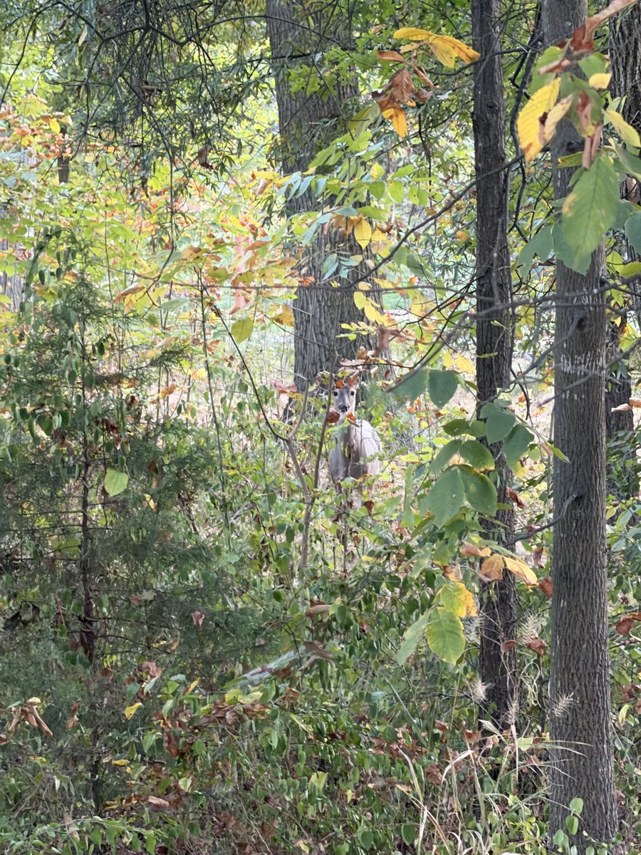 𓅃𓋹𒀭𝔰𝔩𝔞𝔱𝔱.𝔢𝔱𝔥 𓆃 tweet media