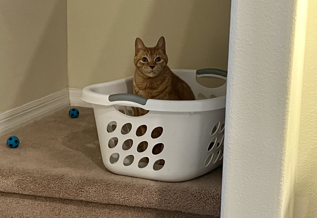 Your laundry can wait.