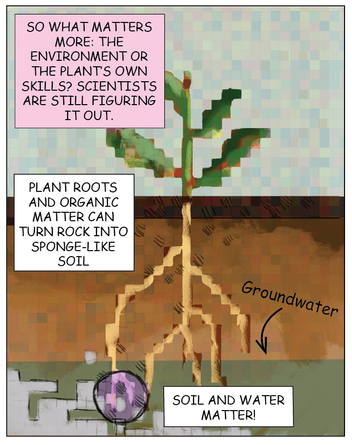 dynamicwater_cz's tweet photo. What is a computer programmer's favorite type of tree?
A binary tree.
w/ Ojas Sarup
@BrenUCSB @TagueTeamLab @ucsantabarbara @AGUecohydro @CUAHSI @INSTAAR
#criticalzone #earthscience #outreach #drought #climatechange #water #scbwi #czscience https://t.co/2SeYpEdzYV