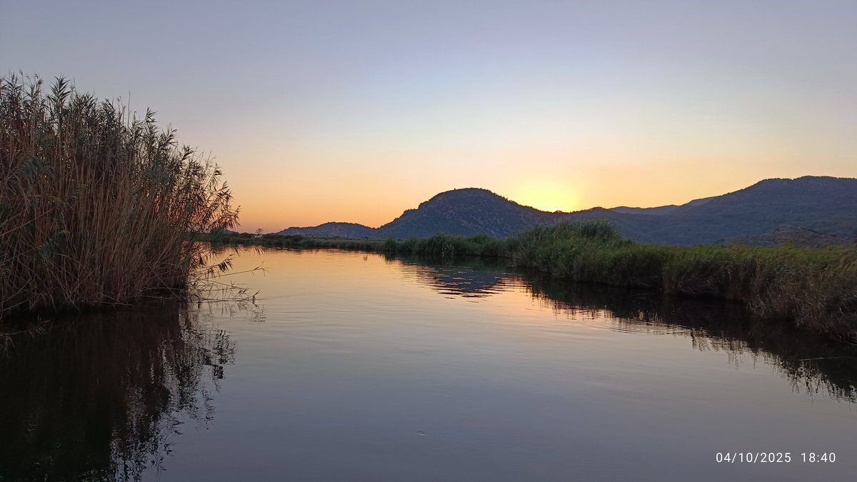 Ali ERKOÇ tweet media