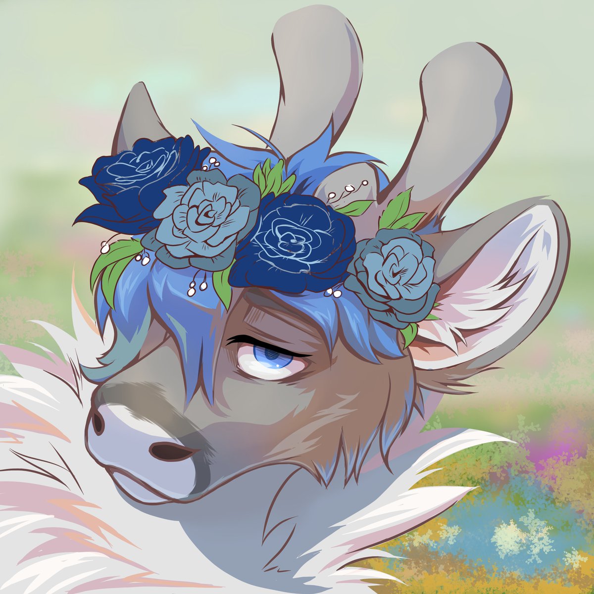 Wapken Meow tweet media