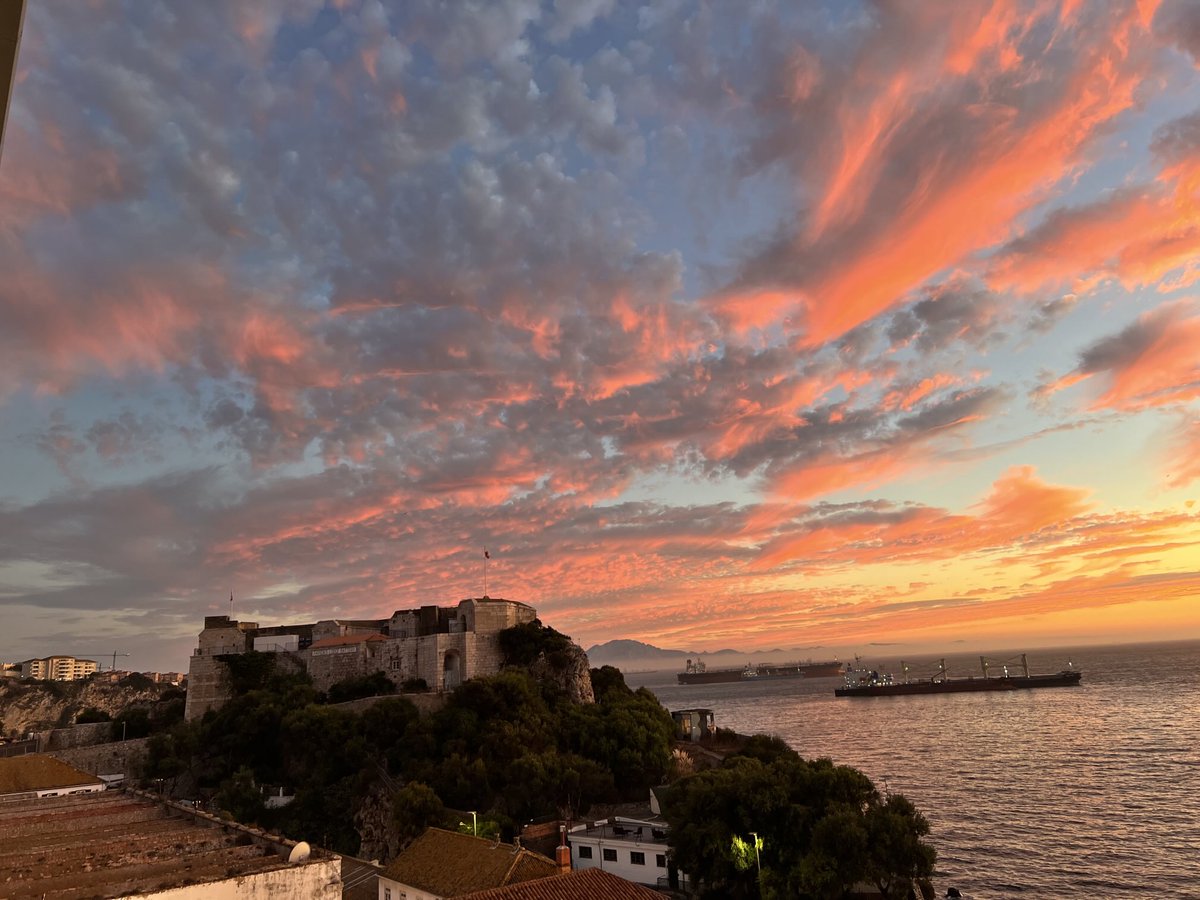 Laura Seed tweet media