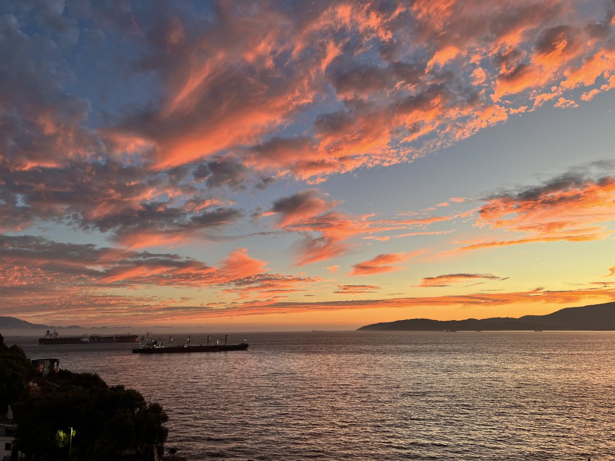 Laura Seed tweet media