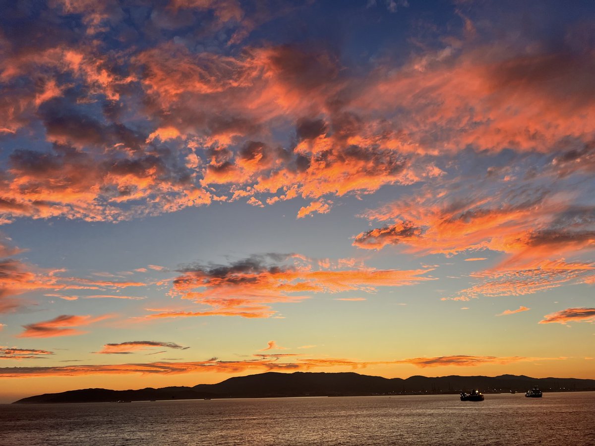 Laura Seed tweet media