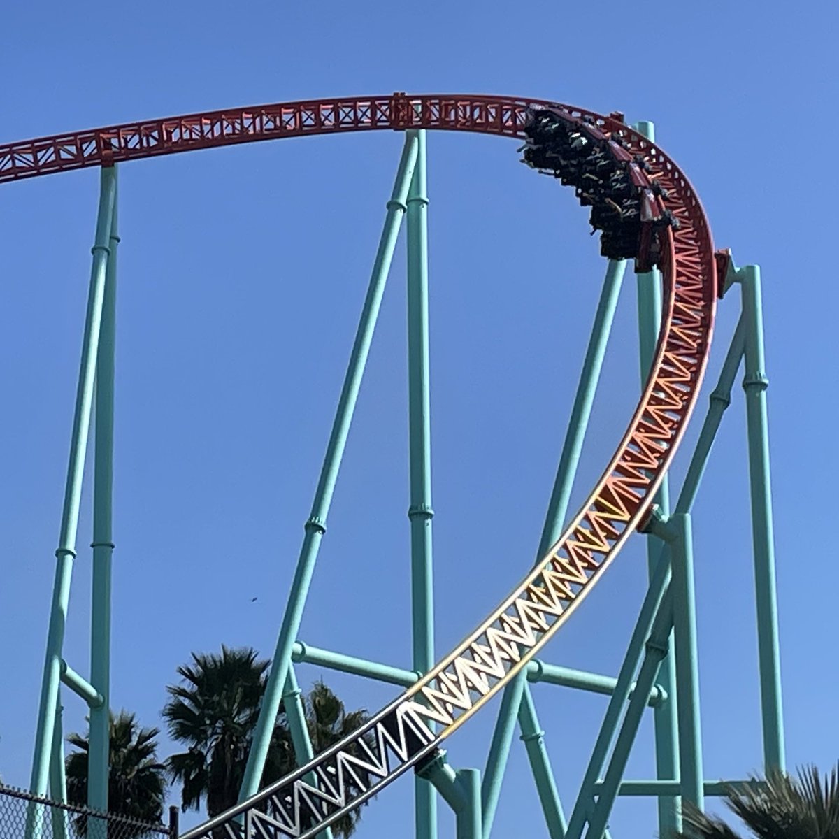 🎢 Trackminder 🧠 🔜 BWS Night Market tweet media