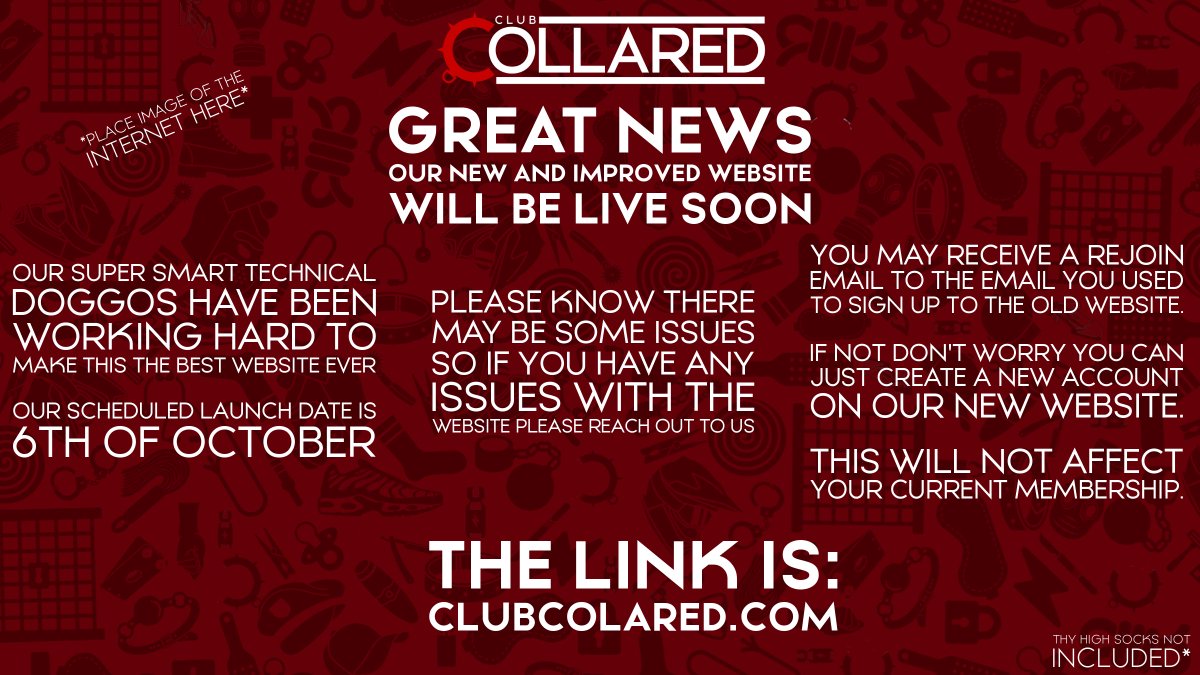 Club Collared tweet media