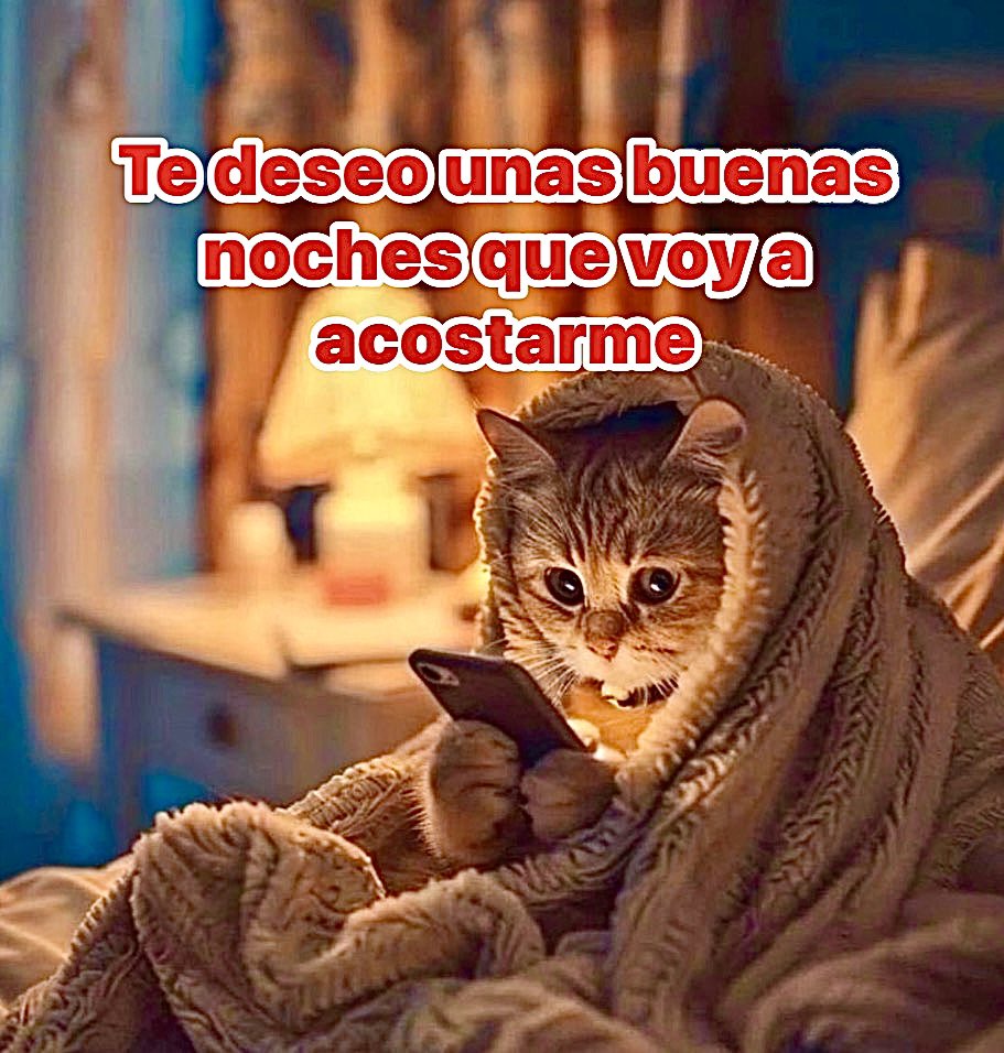 Ignacioirujo's tweet photo. Querida tropa, feliz descanso y hasta mañana si Dios quiere. #BuenasNoches #BuenasNochesTropa #BuenasNochesATodos #BuenasNochesMundo #GoodNightVietnam #ElÚltimoQueApaga #BuenasNochesFamilia #FelizDescanso #GoodNight #HastaMañana #Aaaadios #NoGritar https://t.co/yt8fFI3URM