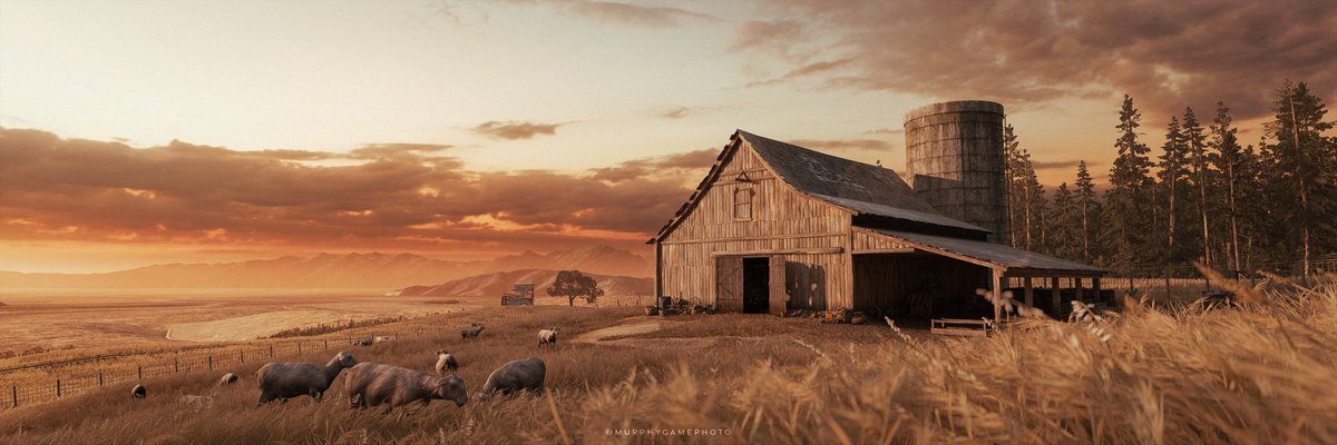Murphygamephoto's tweet image. The Last of US Part 2
"The Farm - Part 2"

#TheLastOfUsPart2 #TLOU2 #ThePhotoMode #VPCONTEXT