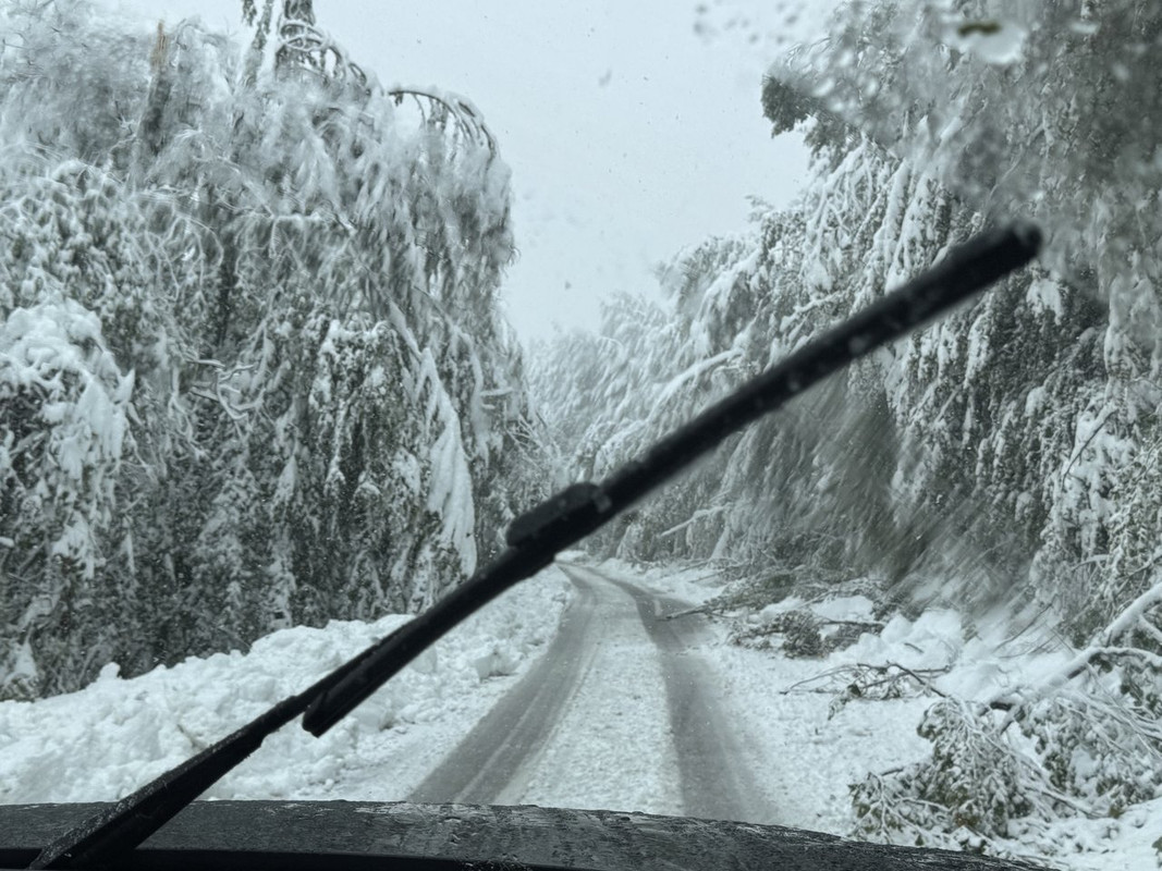 Historic heavy snow for this early in season, just unreal images taken around town Ivanjica (W Serbia) on altitude around 700-800m on October 3 2025.

Kudos to author of exceptional photos: Srbin via SerbiaMeteo Forum serbianmeteo.com/forum/index.ph…