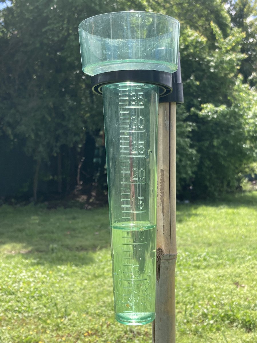 Martin Pino Silva tweet media