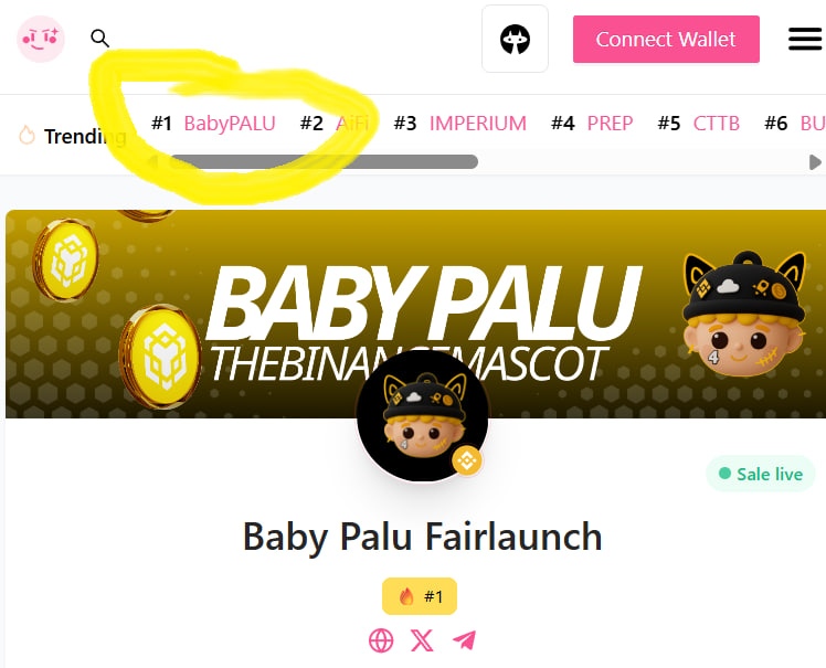 bnb_baby_palu's tweet image. We are #1 trending on @pinkecosystem 

pinksale.finance/launchpad/bsc/…