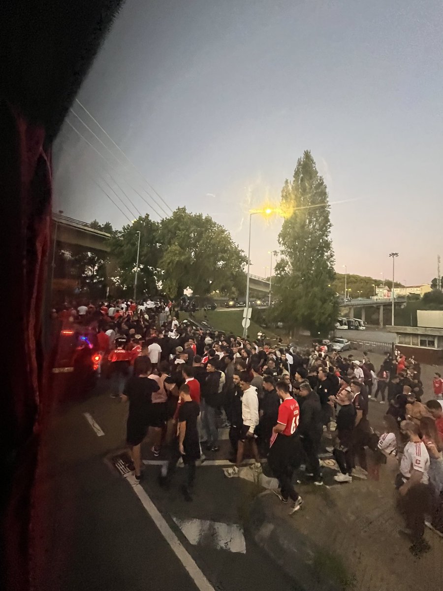 VIVA O SPORT LISBOA E BENFICA