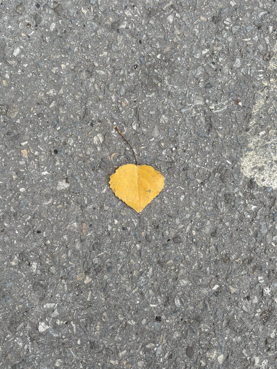 To whom it may concern...