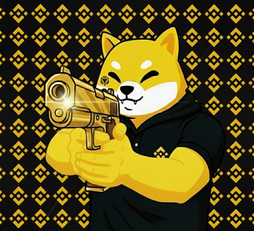 $SHIBY the myth, the legend. Shiby doesn’t miss. 🐾