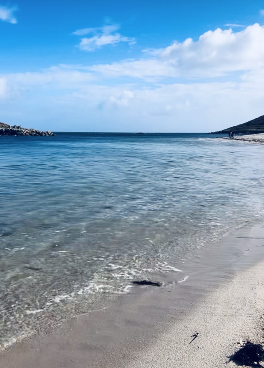 Rebecca Baldwin tweet media