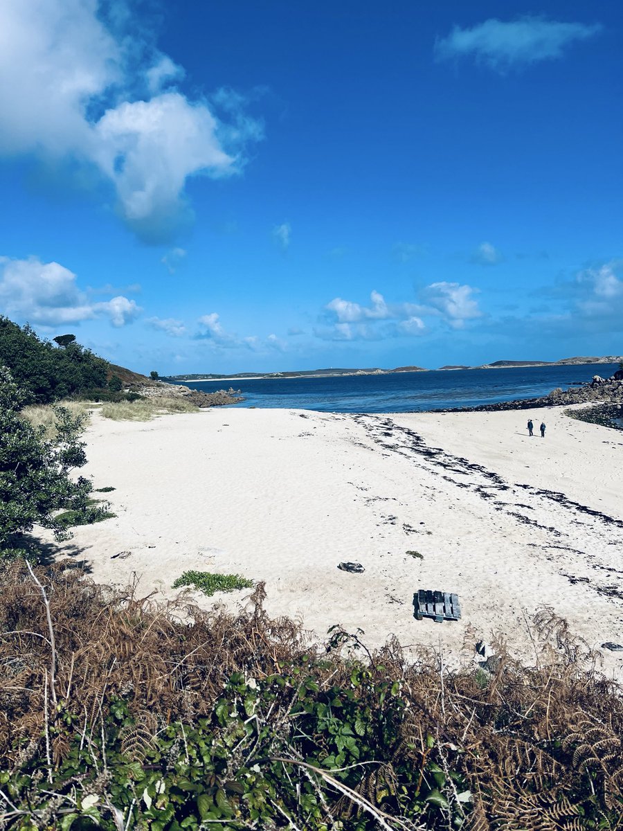 Rebecca Baldwin tweet media