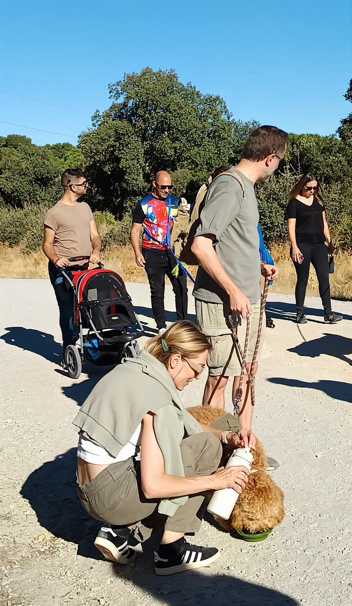 Os compartimos algunas fotos del paseo de aprendizaje de esta mañana. Fue una jornada llena de aprendizaje y diversión. 🐕👩🏼🐶👦🏻👩🏻🐕 Estad atentos para más información. 😉 
📌 Paseos de aprendizaje. ↙️
lealcan.com/como-pasear-un…

#LealCan #paseoscaninos #paseosperros #paseocanino