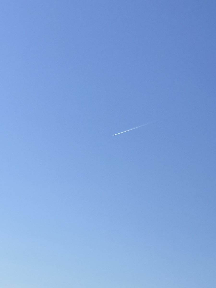 jakejakejakeaa's tweet image. I guess they reopened the government