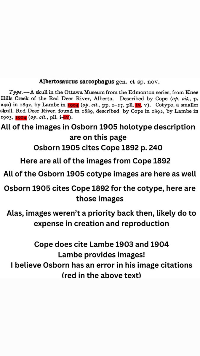 Fossilcrates's tweet image. Happy 120th Birthday, #Albertosaurus sarcophagus
Twas the 3rd theropod dinosaur named in Osborn’s Oct 4th, 1905 paper and felt like an afterthought alongside #Tyrannosaurus rex and Dynamosaurus. Even worse? It was last named and not figured. These are Lambe’s pics.
#FossilCrates