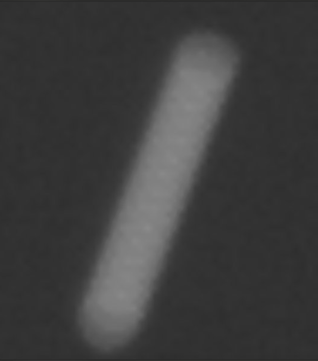 Everything about this screams exposure and the Navcam does had a 3.28 second exposure time which makes sense. Long enough to stretch a moving dot in to a bar of light. I can't wait to see more images of #3IATLAS. I hope I am wrong and it is something anomalous!