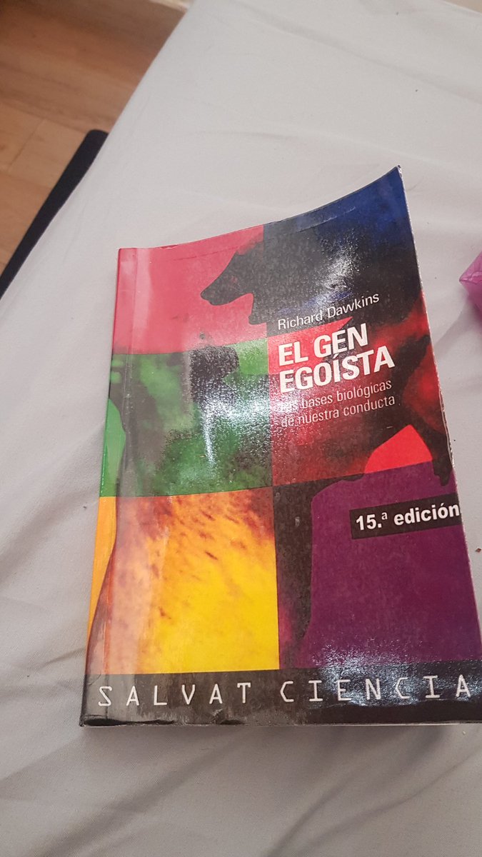 VirgenMaria8's tweet photo. https://t.co/Rgs5Hh24TU