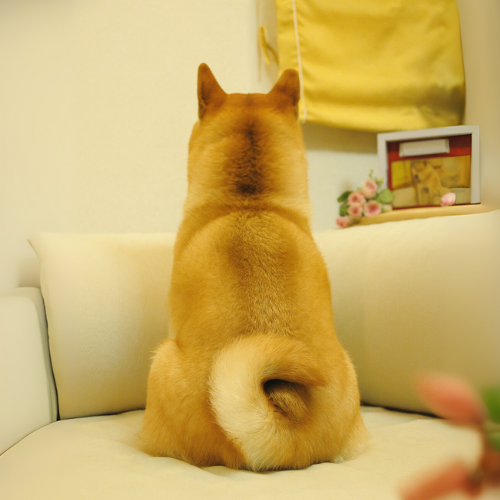 Zrwraith's tweet photo. $EGOD = Doge backwards by Elon Musk
https://t.co/7KTURXIYqj
CA: BzaEbCj3esGAVV1Qh5H8Sb3dDKDyVjwet8mTxvWopump https://t.co/O7UhIwRvj3