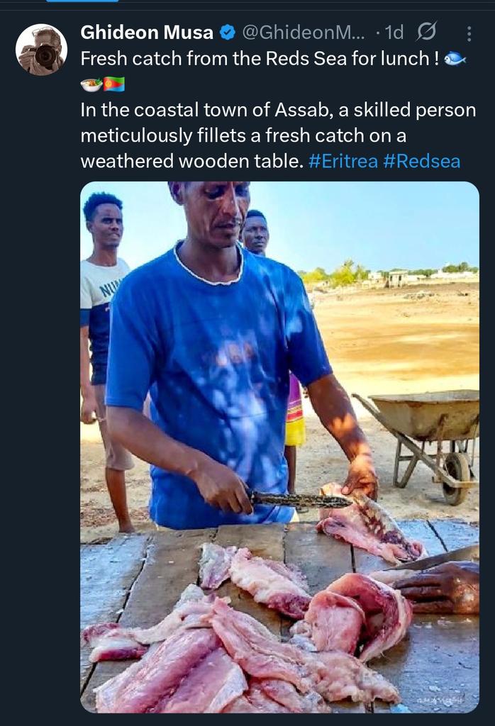 QQarramis's tweet image. The indigenous #Afar people in the occupied #Dankalia (#Assab) are restricted from fishing. Yet &quot;the skilled&quot; peasant settler who can&apos;t even fillet a fish right is enjoying all that right in the Afar Red Sea Coast.