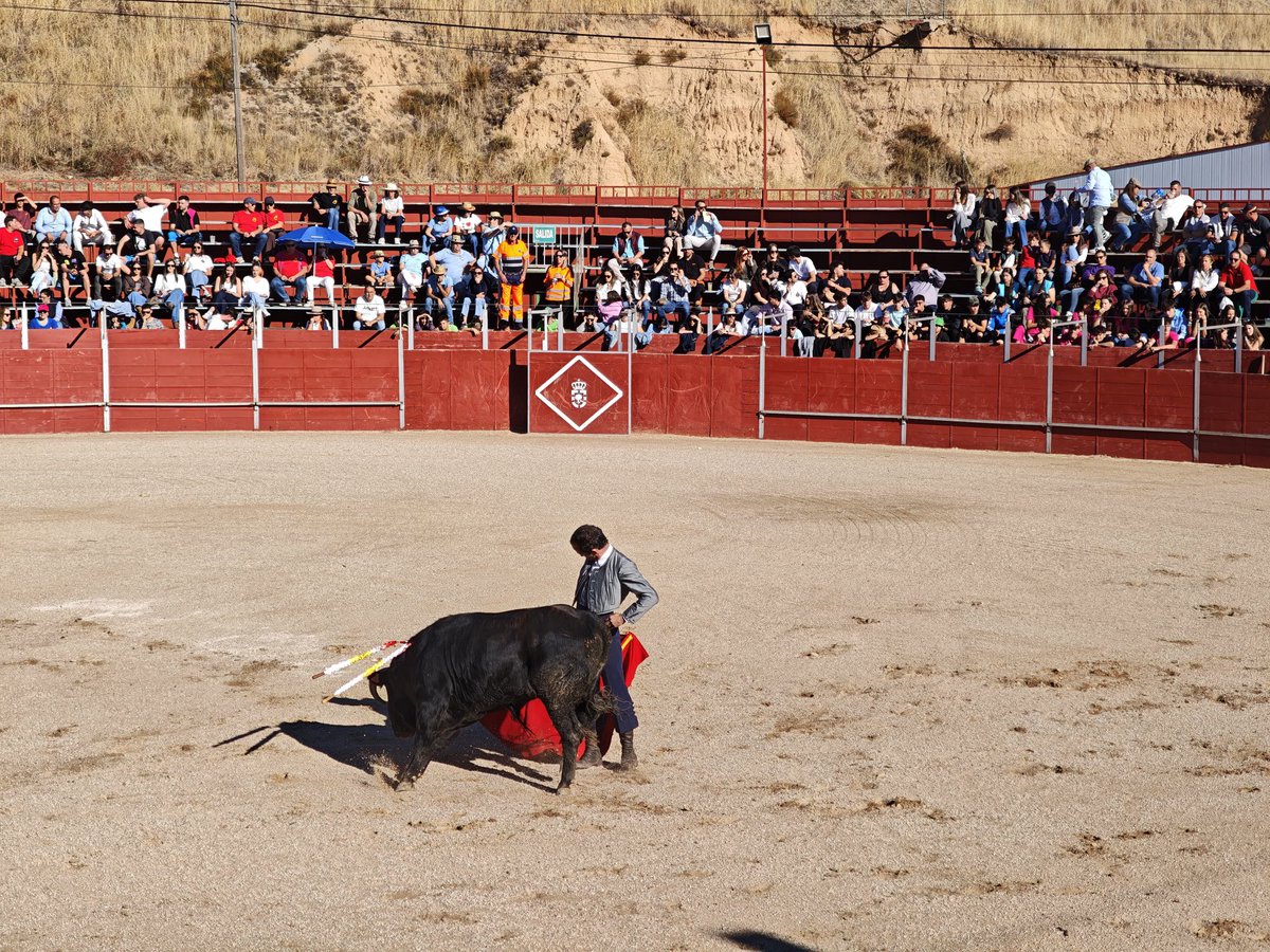 🇪🇸 Fernando Toribio 🇪🇸 tweet media