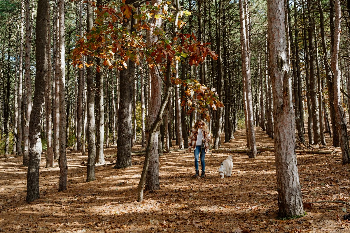 Kent County offers many parks and hiking trails, and most allow your furry friend to tag along! We've rounded up six paw-some dog-friendly trails around the Grand Rapids Area. Check out our list and more with the link below! 🐾 
experiencegr.com/articles/post/…