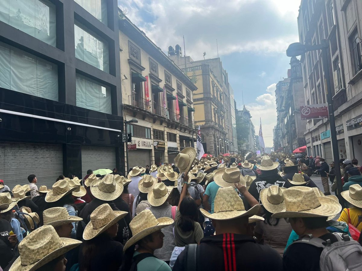 𝐏𝐑𝐈𝐌𝐄𝐑 𝐈𝐍𝐅𝐎𝐑𝐌𝐄 𝐃𝐄 𝐋𝐀 𝐏𝐑𝐄𝐒𝐈𝐃𝐄𝐍𝐓𝐀 𝐂𝐋𝐀𝐔𝐃𝐈𝐀 𝐒𝐇𝐄𝐈𝐍𝐁𝐀𝐔𝐌 𝐏𝐀𝐑𝐃𝐎, 𝐙𝐨́𝐜𝐚𝐥𝐨 𝐝𝐞 𝐥𝐚 𝐂𝐃𝐌𝐗