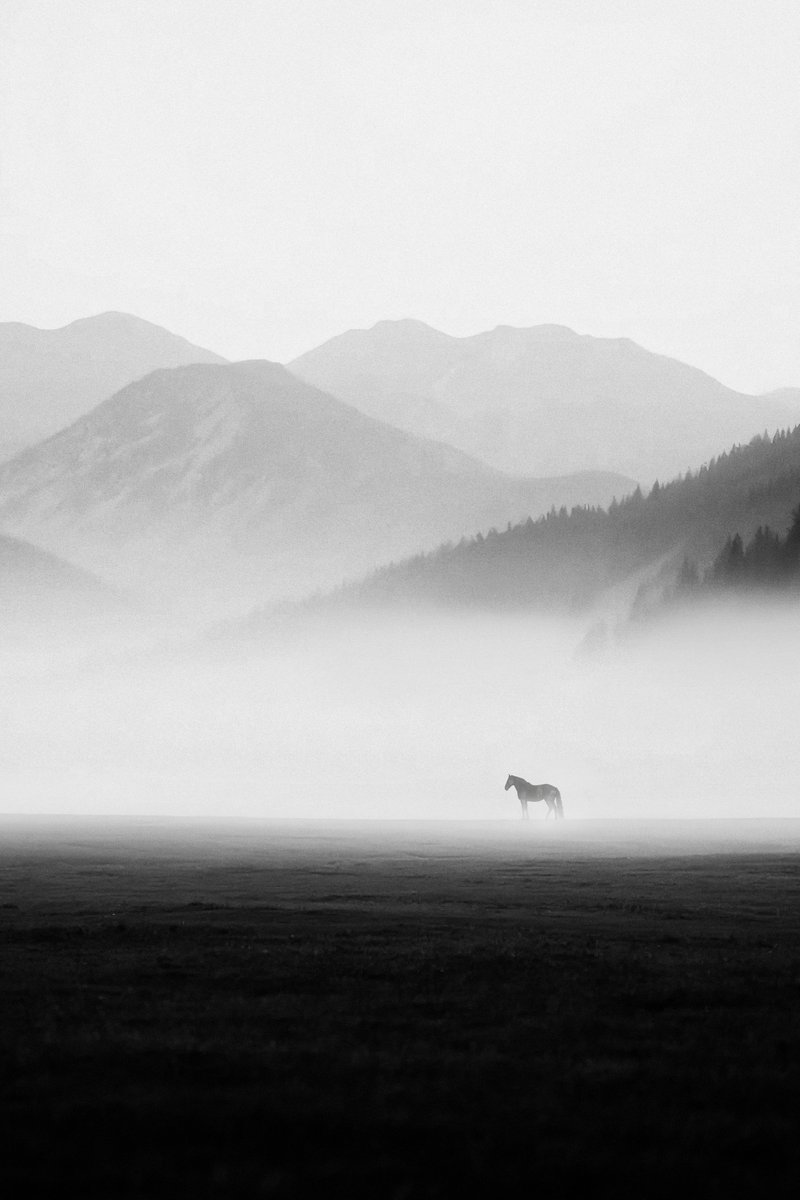 UPDATE and SOLD 1 more🔥

Thank you for collecting Serene edition <a href="/rektfluf/">Digger 🐤</a> , you are so kind  ❤️
7 left ! 
transient.xyz/mint/gul-yldz