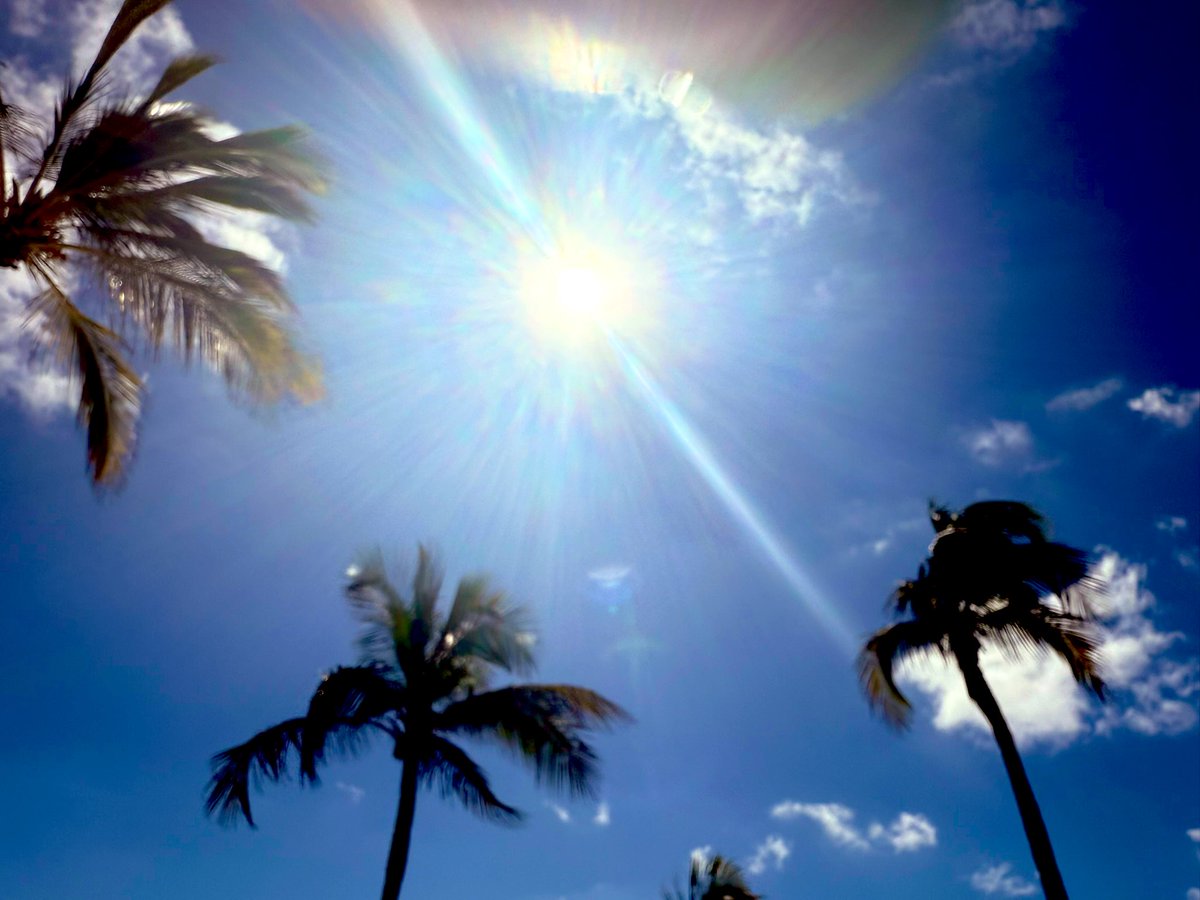 ShineBrightJill's tweet image. Champagne Sunday was a huge success! ☀️🏩🌴🌊🥂🍾👙😎 #LivingTheDream 😉 You definitely can’t beat a #MoëtMoment… Somebody’s goat tae dae it of course! 😜