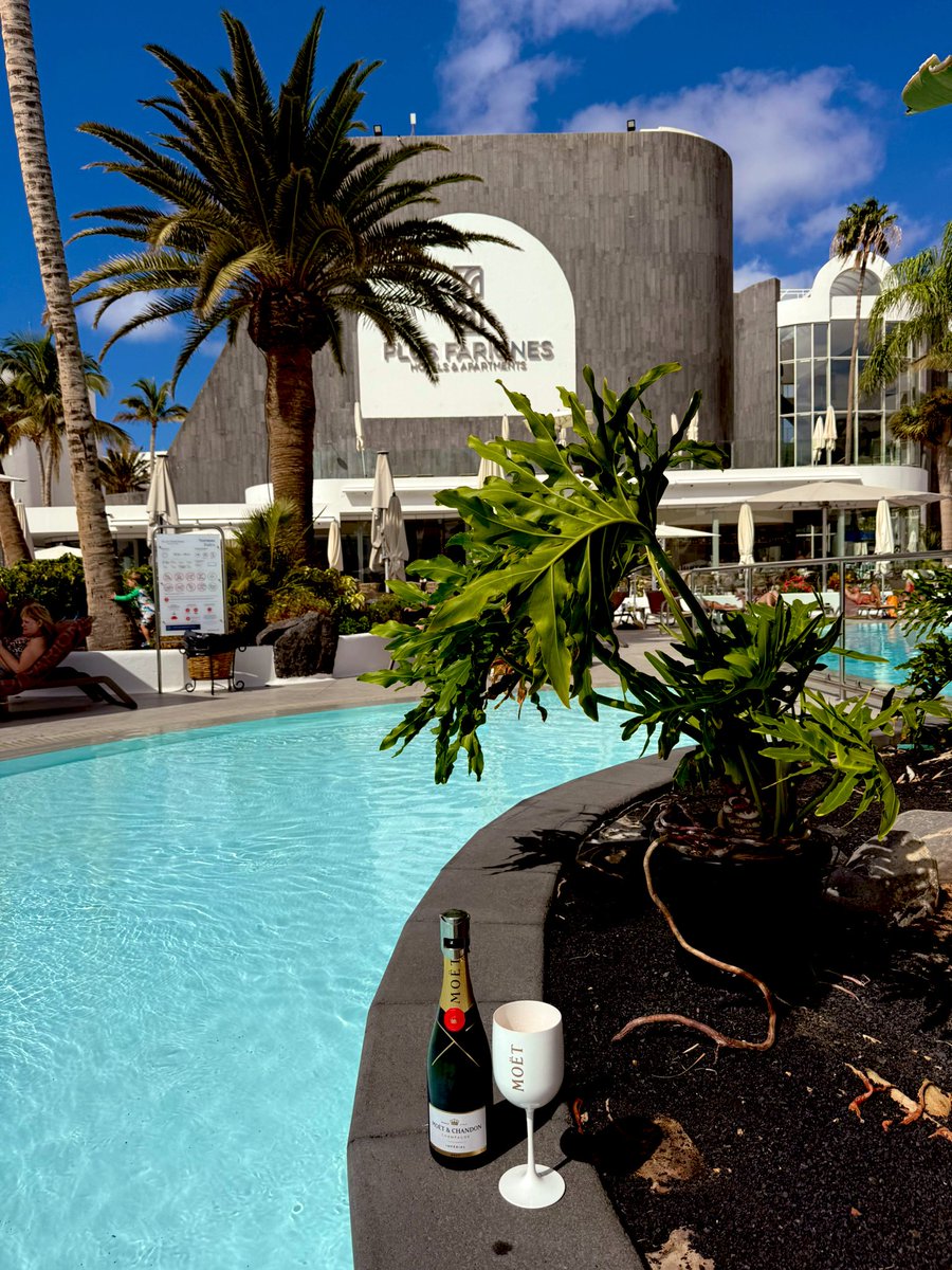 ShineBrightJill's tweet image. Champagne Sunday was a huge success! ☀️🏩🌴🌊🥂🍾👙😎 #LivingTheDream 😉 You definitely can’t beat a #MoëtMoment… Somebody’s goat tae dae it of course! 😜