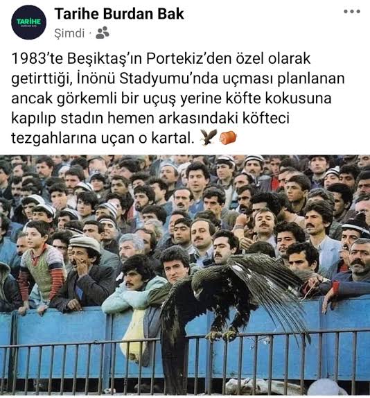 42 yıl önce denendi ama olmadı.

Welcome To Türkiye 😂
