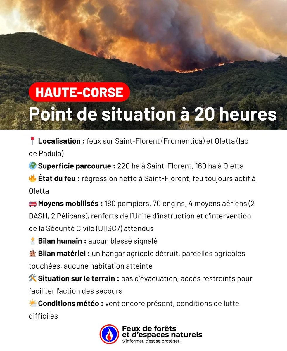 Feux de Forêt tweet media