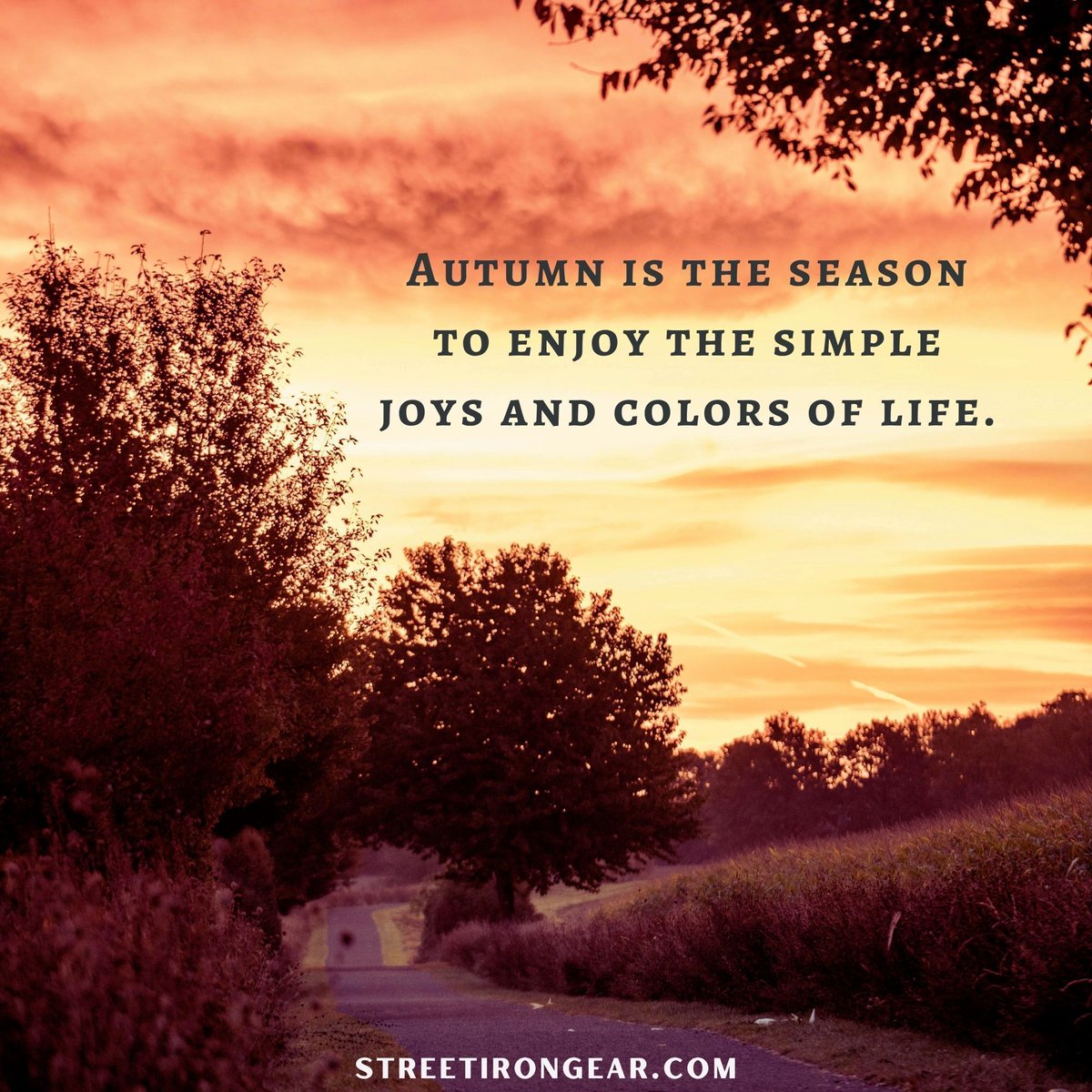 StreetIronGear's tweet image. #AutumnVibes #FallAdventures #LeafPeeping #RoadTripReady #AdventureTime #ExploreMore #CrispAirRides #AutumnInspo #TravelGram #NatureLover