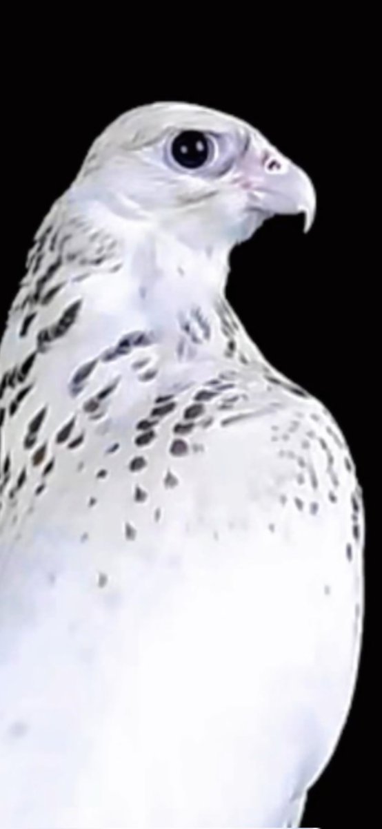 #بوح_الكلام
عمر الشجر ماقال محتاج للماء
اما تسقيه ولا يموت بكرامه