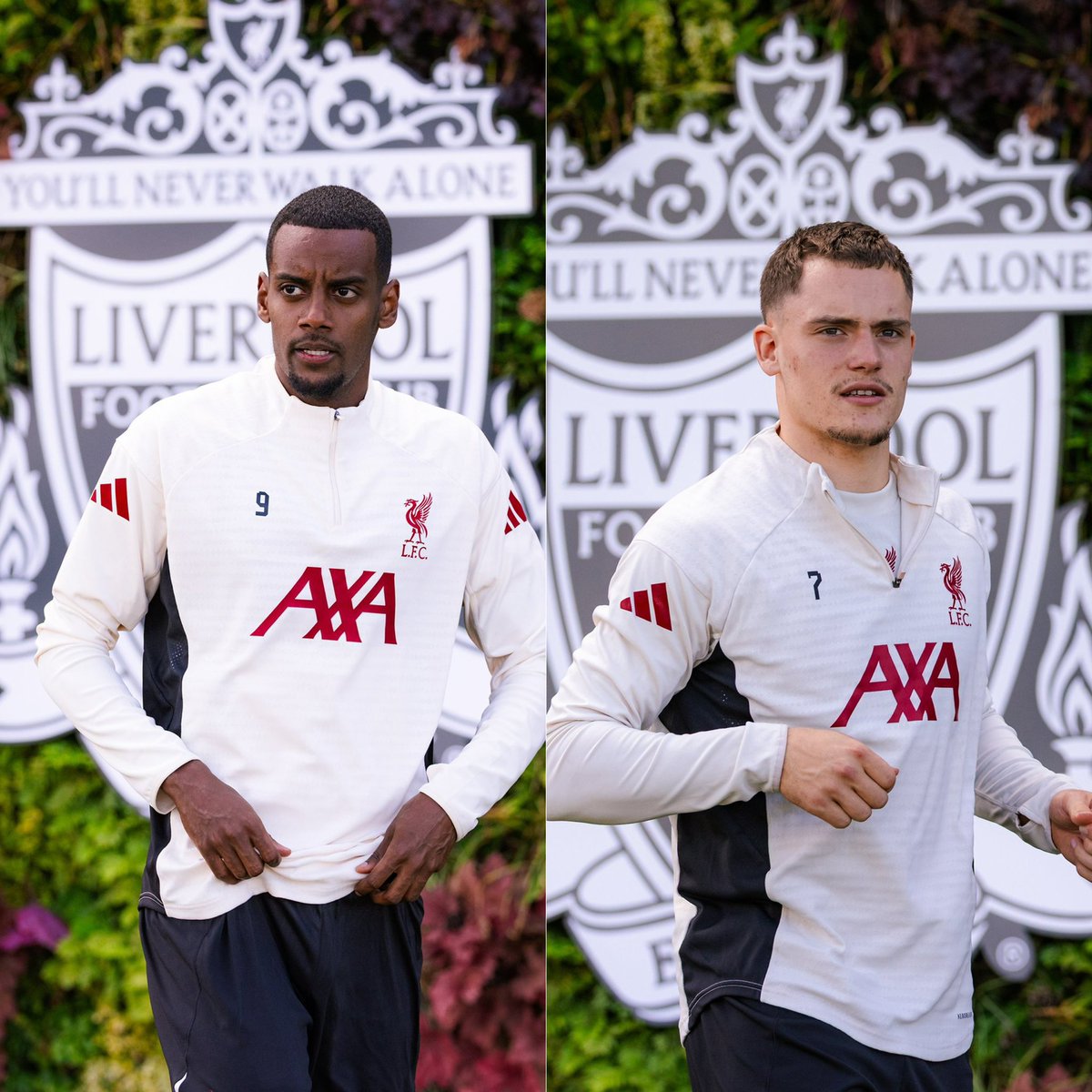 The sun will shine on us soon..