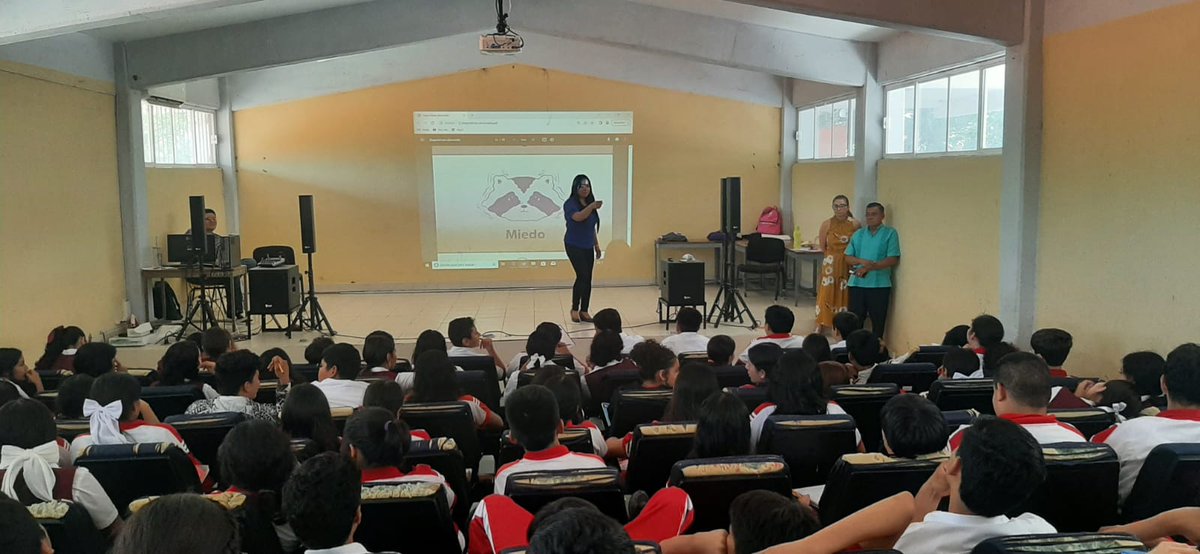 SEIMUJER tweet media