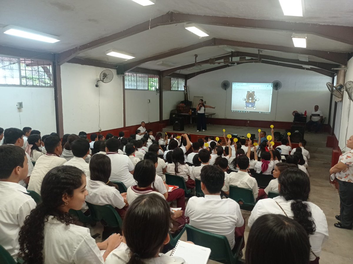 SEIMUJER tweet media