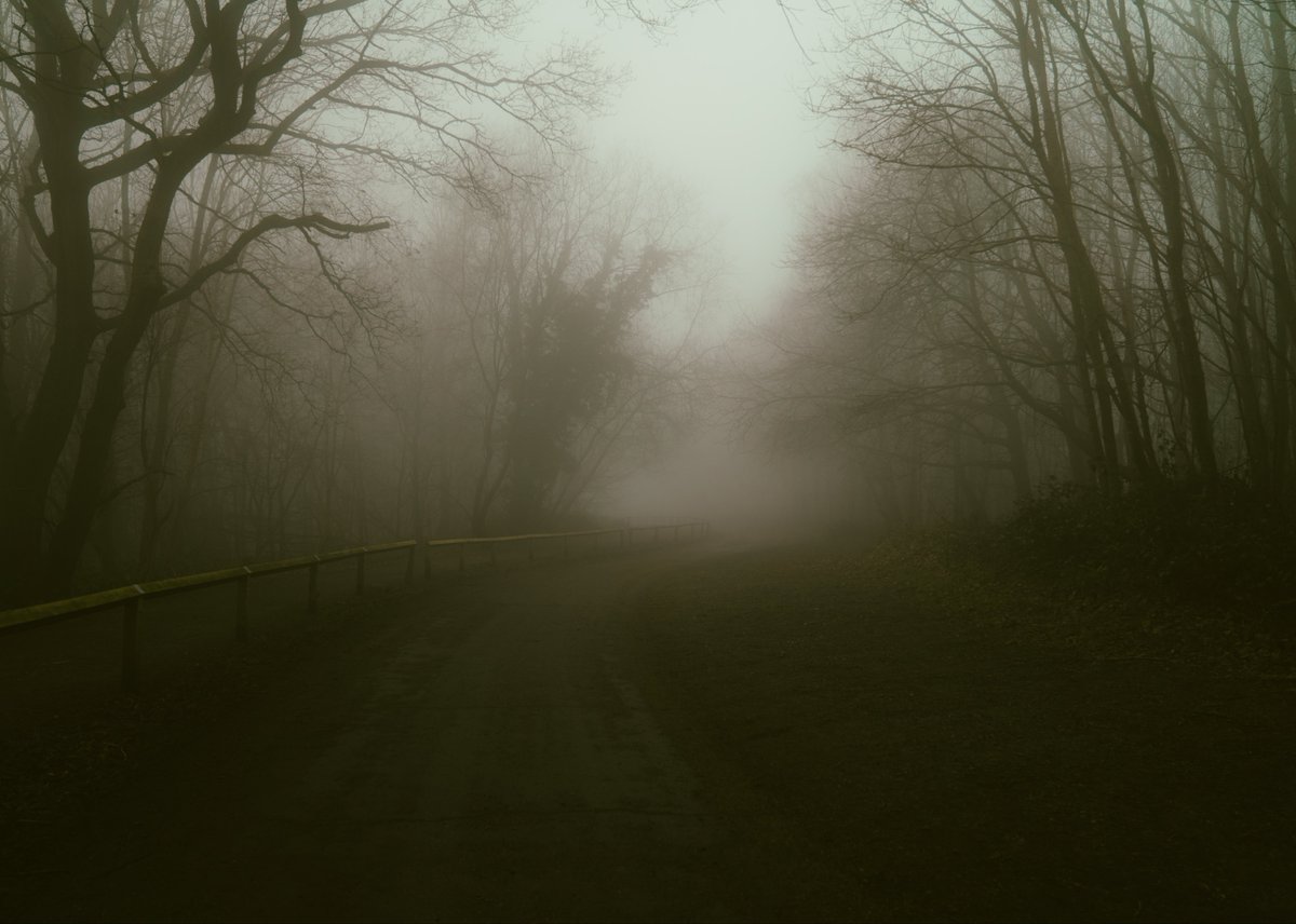 zosphotos's tweet image. Moody