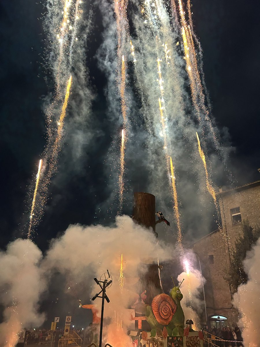 rubedabarniol's tweet image. Que per molts anys i moltes falles més @penyaboletaire 🎆🔥
