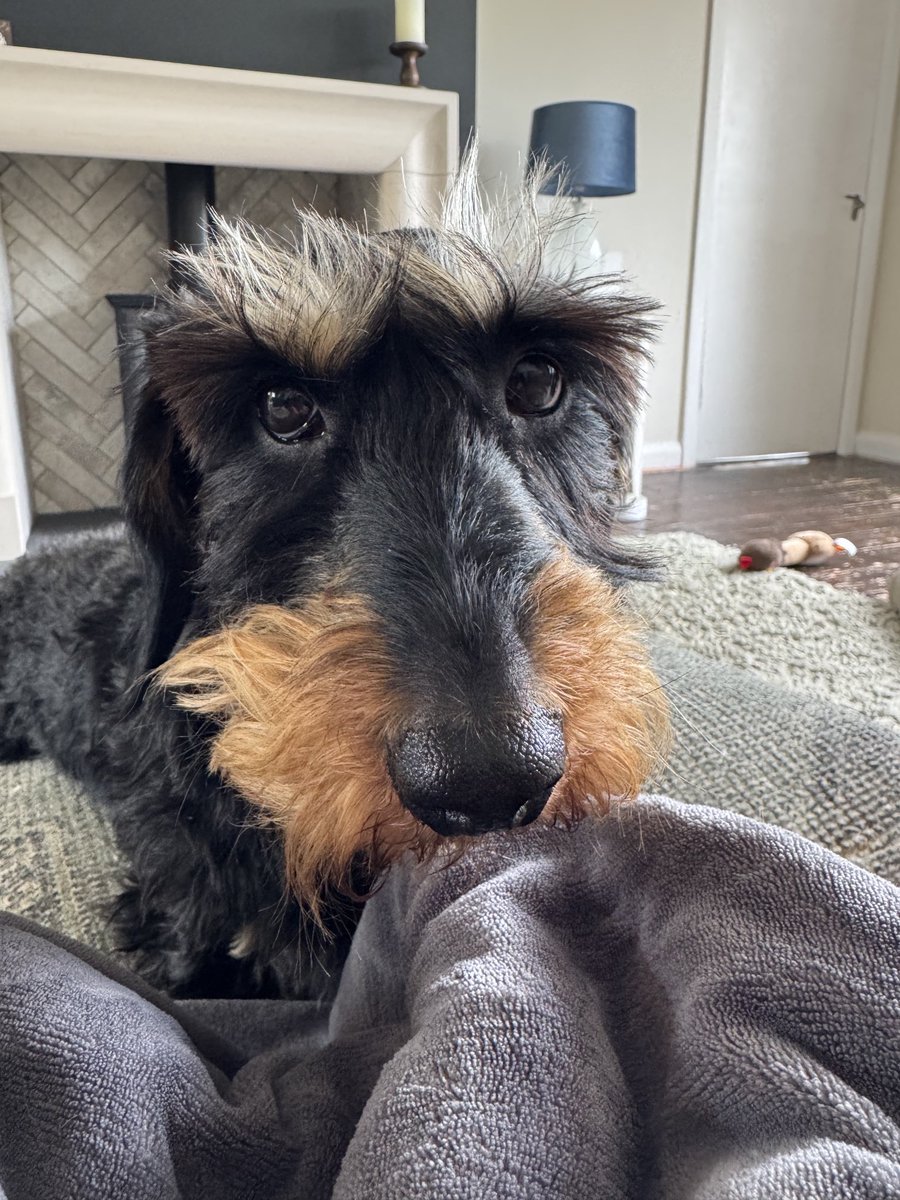 IsabellaDaxie's tweet photo. Are you eating all that? ππΎ lifetime on the hips n all that
#illhelp #treatos https://t.co/paDfprVTRa