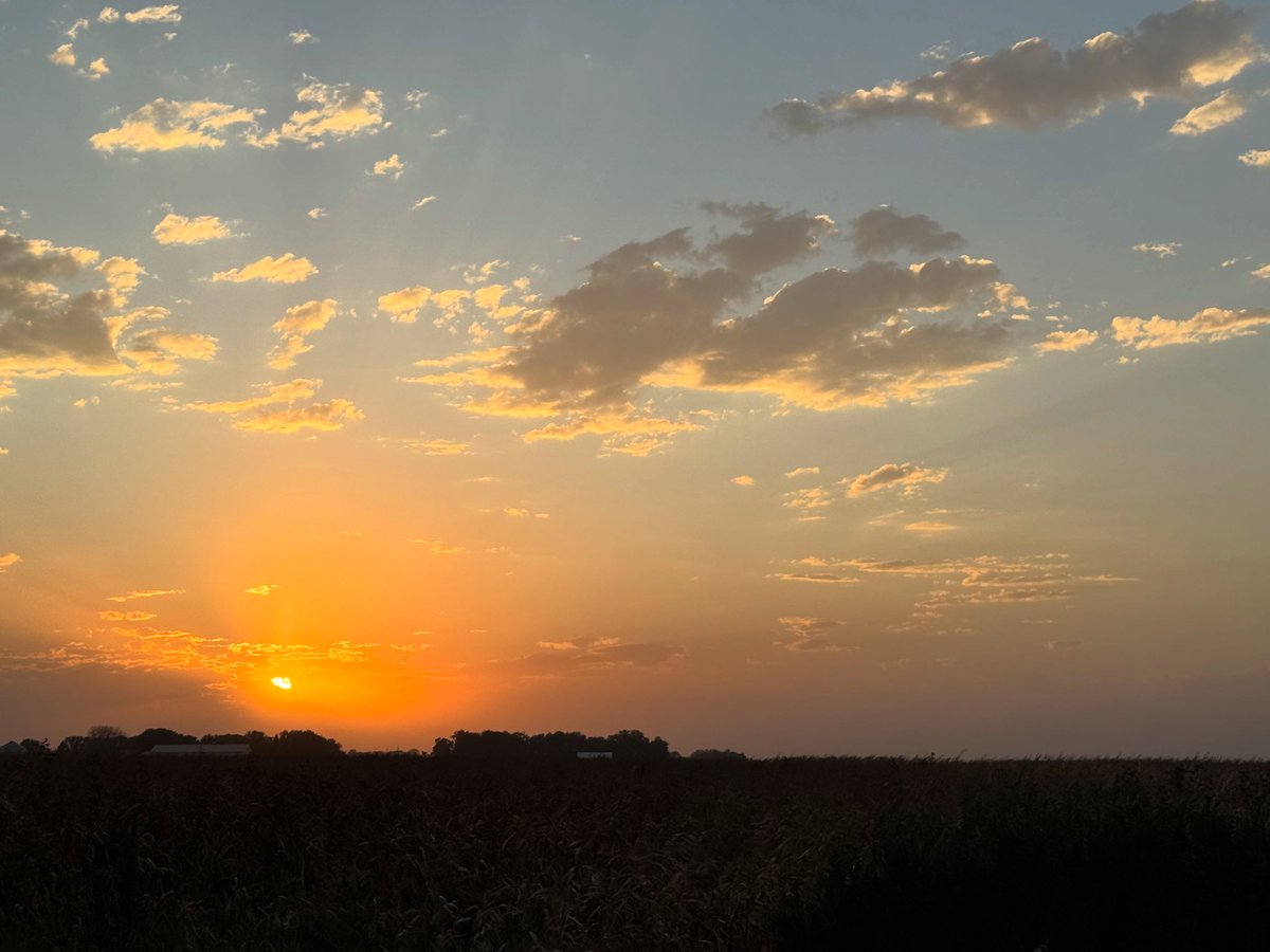Day 12: We finished soybean harvest on Saturday. I was in the house early enough, and had a post formulated…then I got asked a genealogy question by my sister. I finally went to bed at 2am. We found some crazy newspaper articles that contain the biggest mystery and NO WAY!